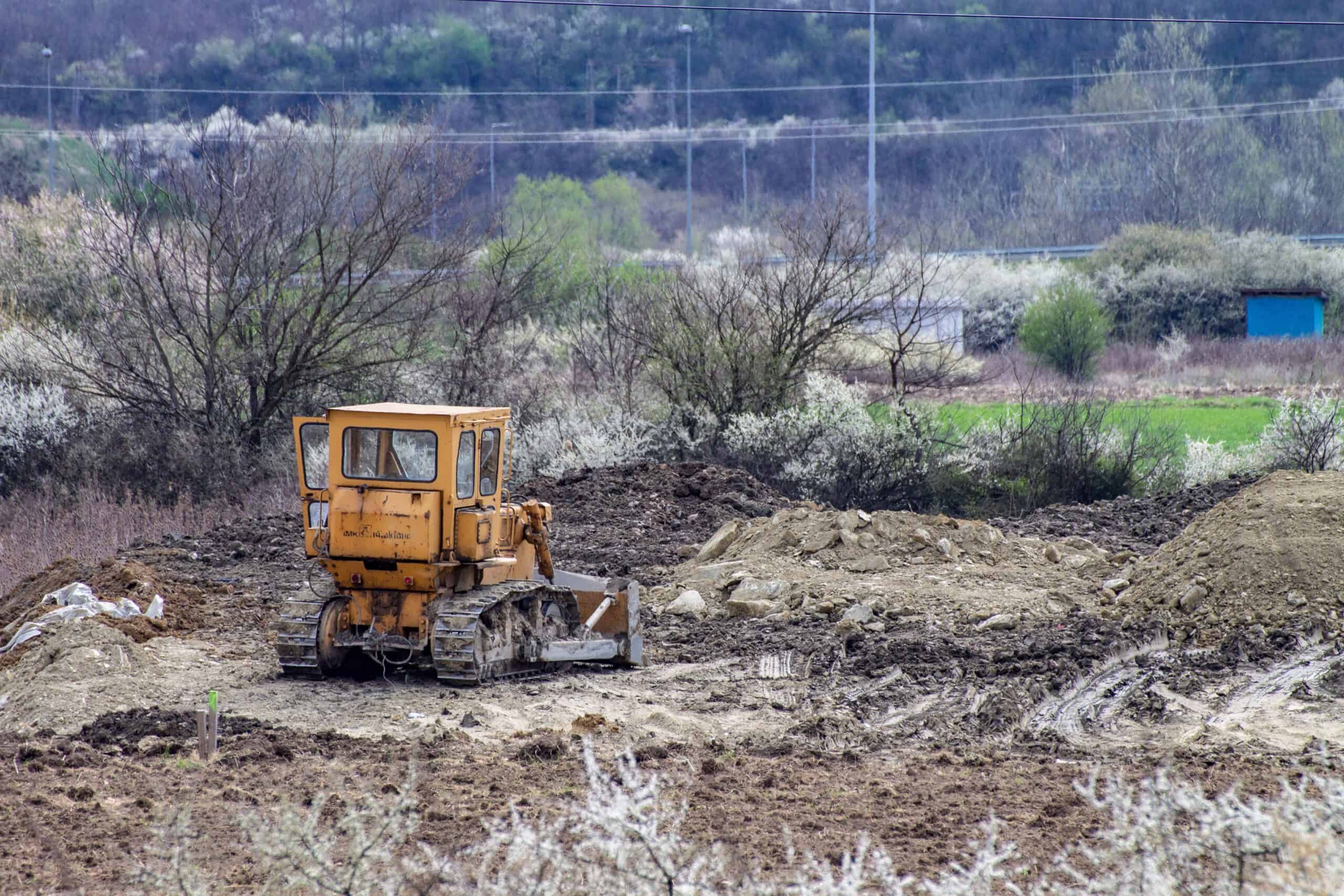 pexels-boris-hamer-16075869 tree service abilene tx